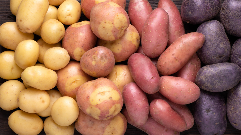 potato varieties