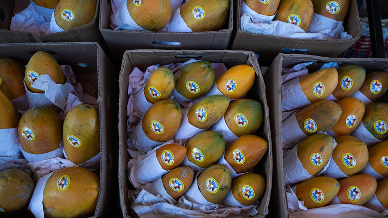 Papayas with PLU stickers