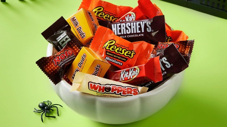 candy bowl with plastic spider