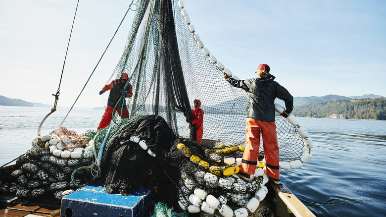 Fishing boat