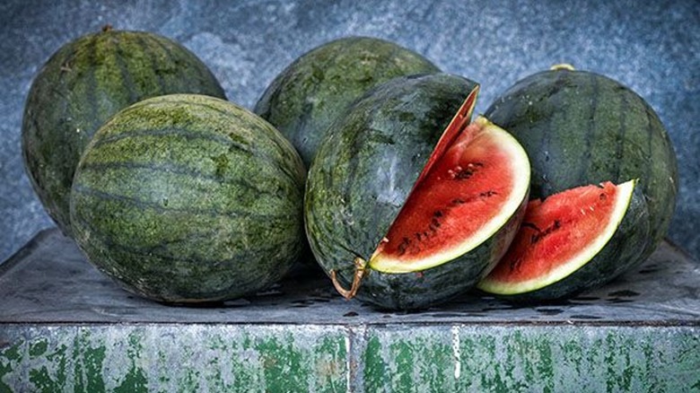 Blacktail Mountain watermelon