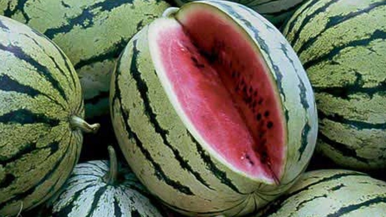 Chris Cross watermelon