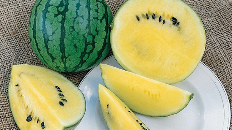 plated Cream of Saskatchewan watermelon 