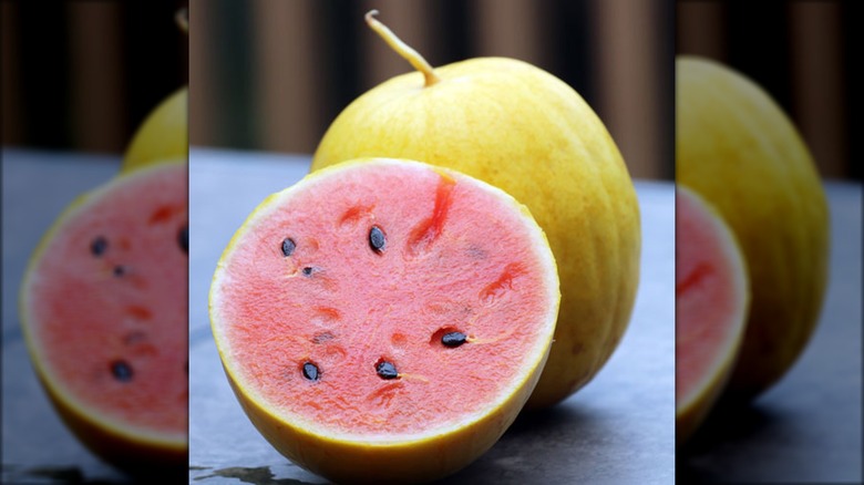 Golden Midget watermelon