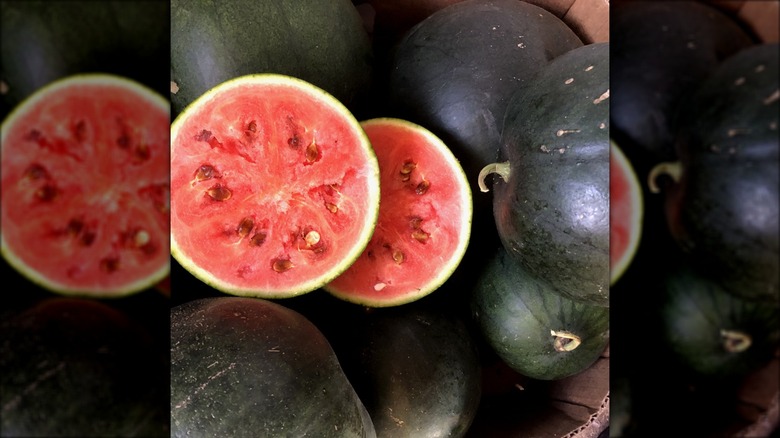 cut Small Shining Light watermelon