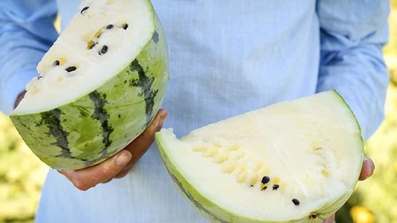 Yamato Silver watermelon