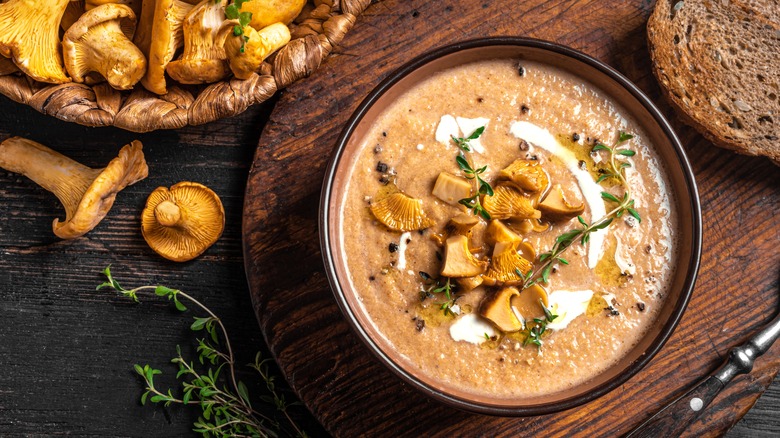 Chanterelle mushroom soup