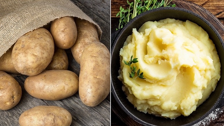 Russet potatoes and a bowl of mashed potatoes