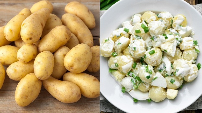 New potatoes and bowl of potato salad