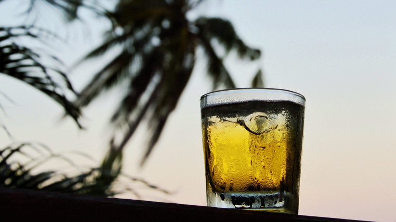 whiskey glass with coconut tree