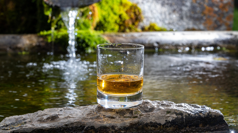 whiskey glass sitting on rock