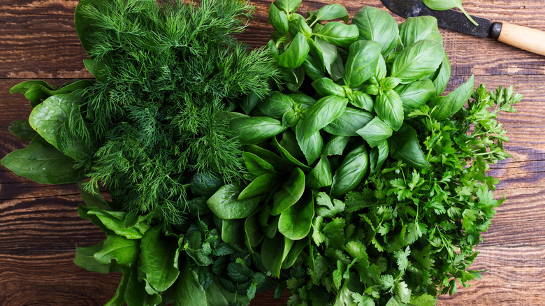 array of fresh herbs