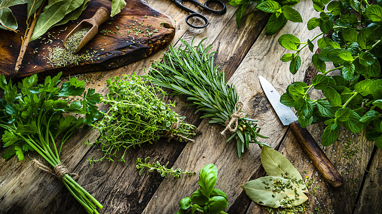 Fresh herbs on a wooden table