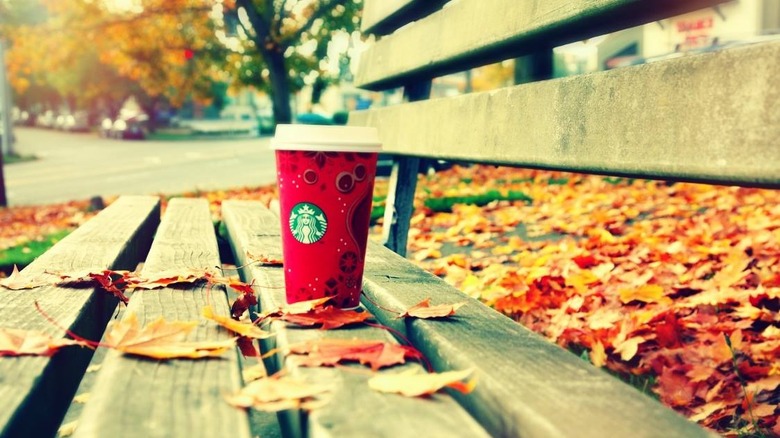 Starbucks coffee on park bench by leaves