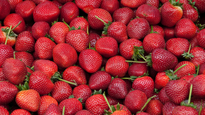 Fresh picked strawberries