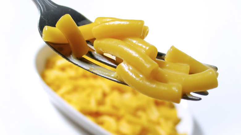 A forkful of macaroni and cheese