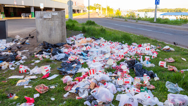 Trash and KFC takeout scattered on the ground