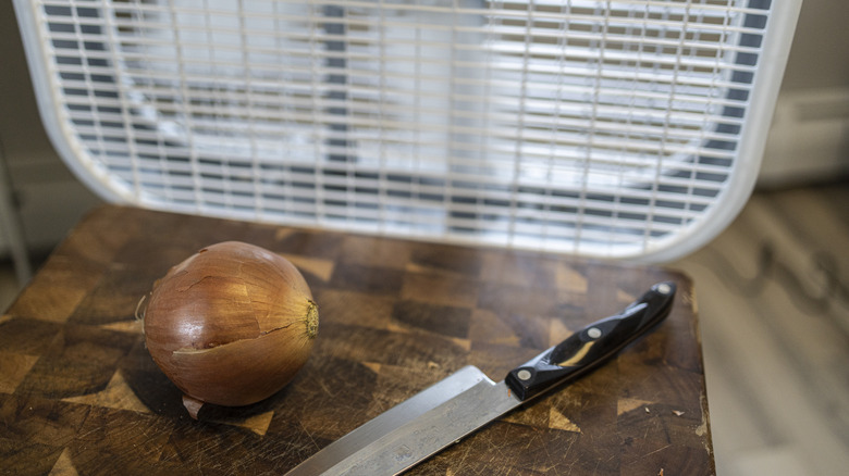 Cutting onion next to fan