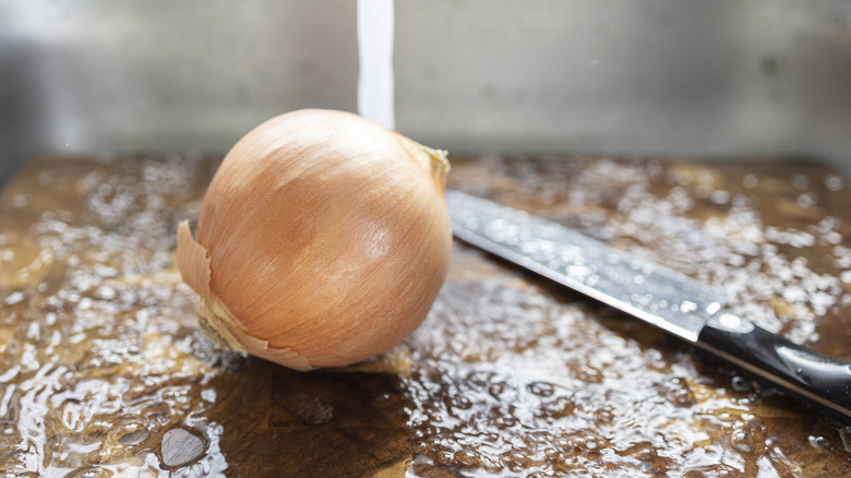 Onion and knife on wet cutting board