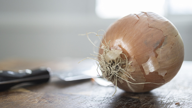 Onion and knife on cutting board