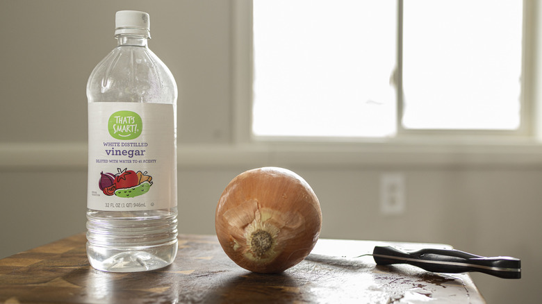 onion, bottle of vinegar, and knife on cutting board