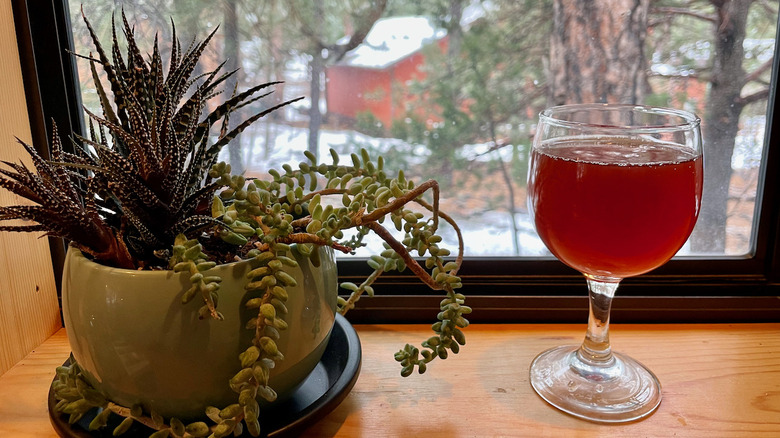 glass of de soi with potted plant