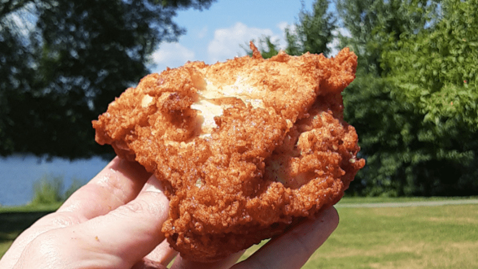 we-tried-the-lowest-rated-fast-food-fried-chicken-here-s-how-it-went