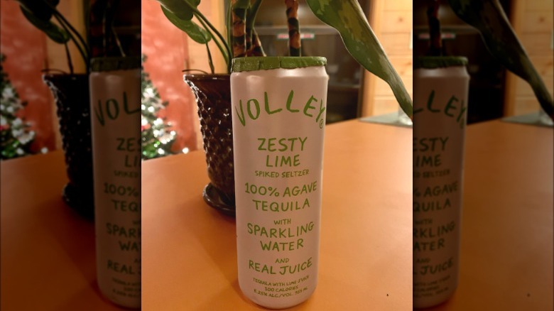 volley lime seltzer with houseplant