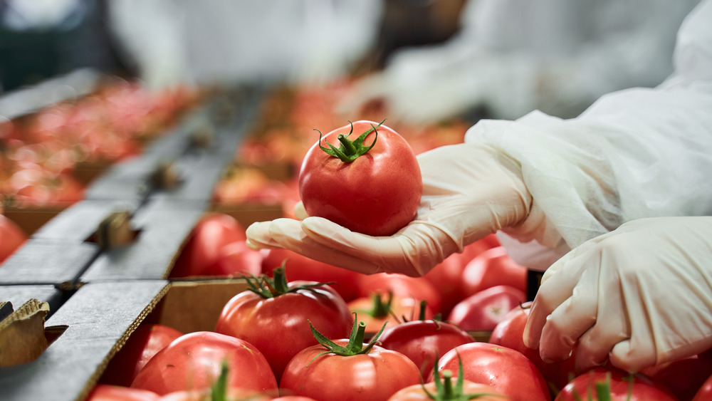 produce worker wearing gloves