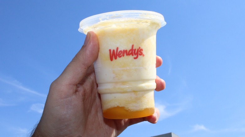 Wendy's Krabby Patty And Pineapple Under The Sea Frosty Review: Cartoon ...