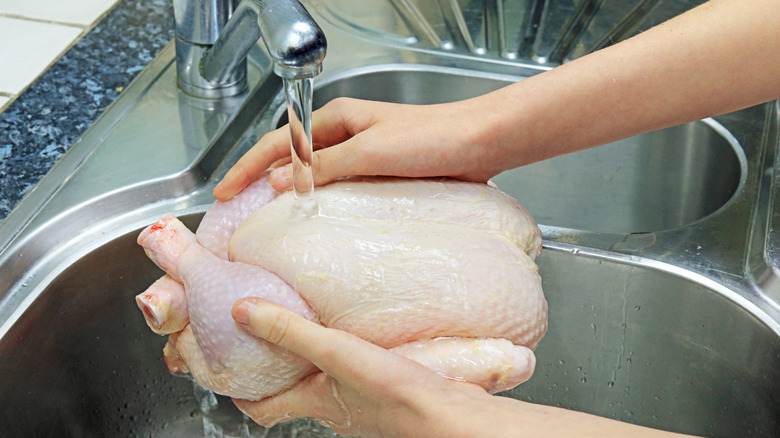 Person washing a chicken