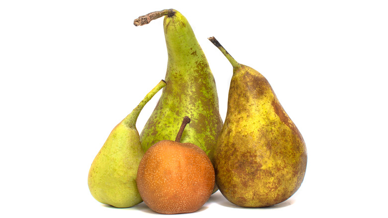 various types of pears