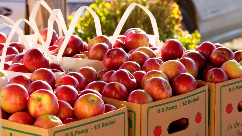 Apples in cardboard boxes