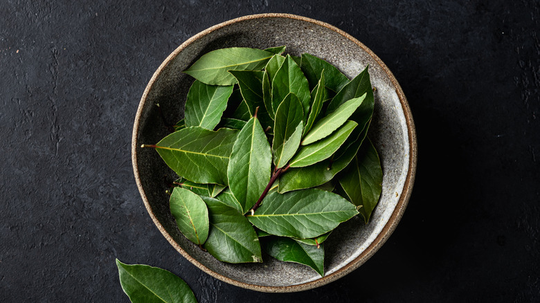 A bowl of fresh bay leaves