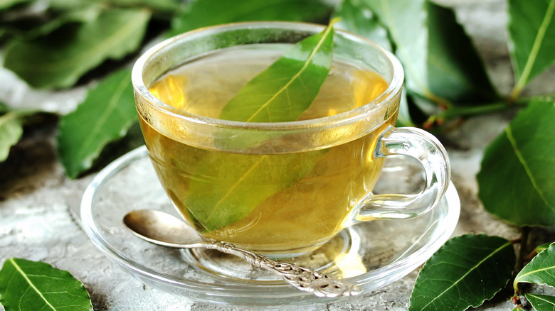 A cup of tea with bay leaves