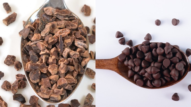 Cacao nibs and chocolate chips in spoons side by side