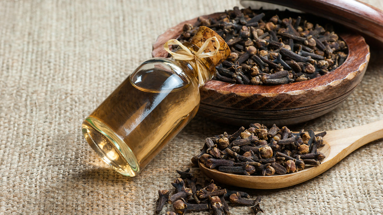 Whole cloves and a jar of clove oil on burlap