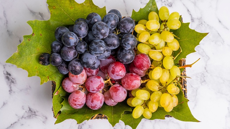 Different types of grapes