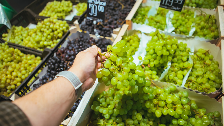 Person buying grapes