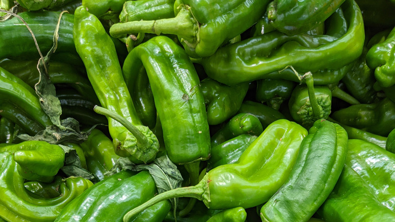 Green Cubanelle peppers