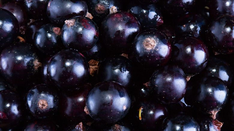 Black currants