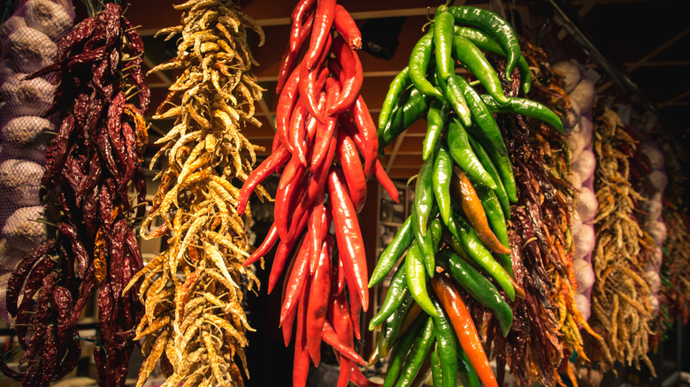 different chiles