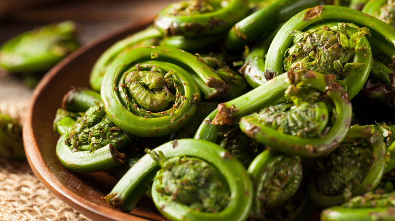 Bowl of prepared fiddleheads