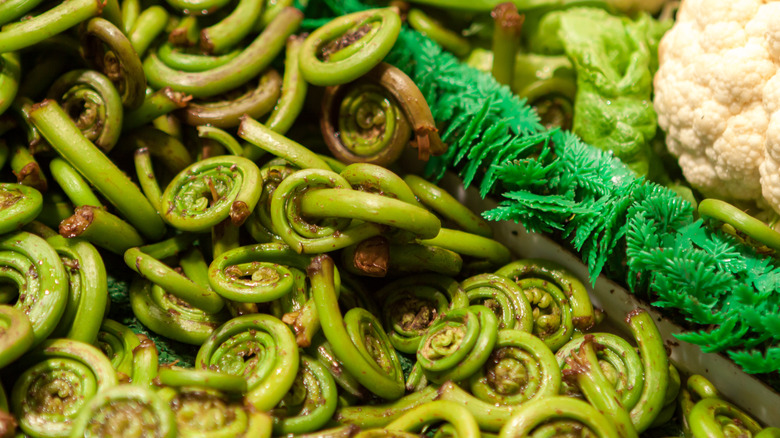 fiddleheads in the produce section at a grocery store