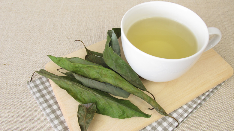 Avocado leaf tea in mug