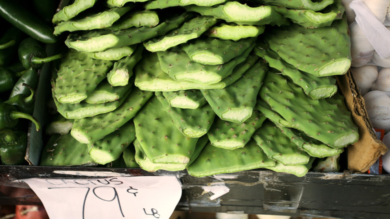 Nopales being sold in supermarket