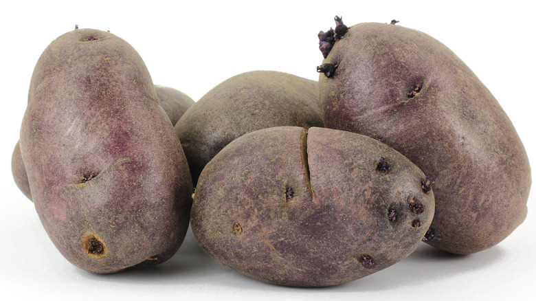 sprouted purple potatoes