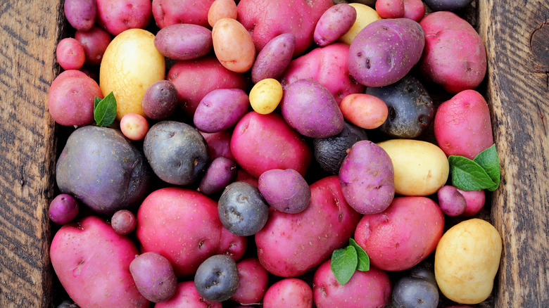 crate of potatoes in different colors and sizes