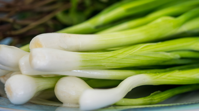 Bundle of scallions with chopped pieces on the side