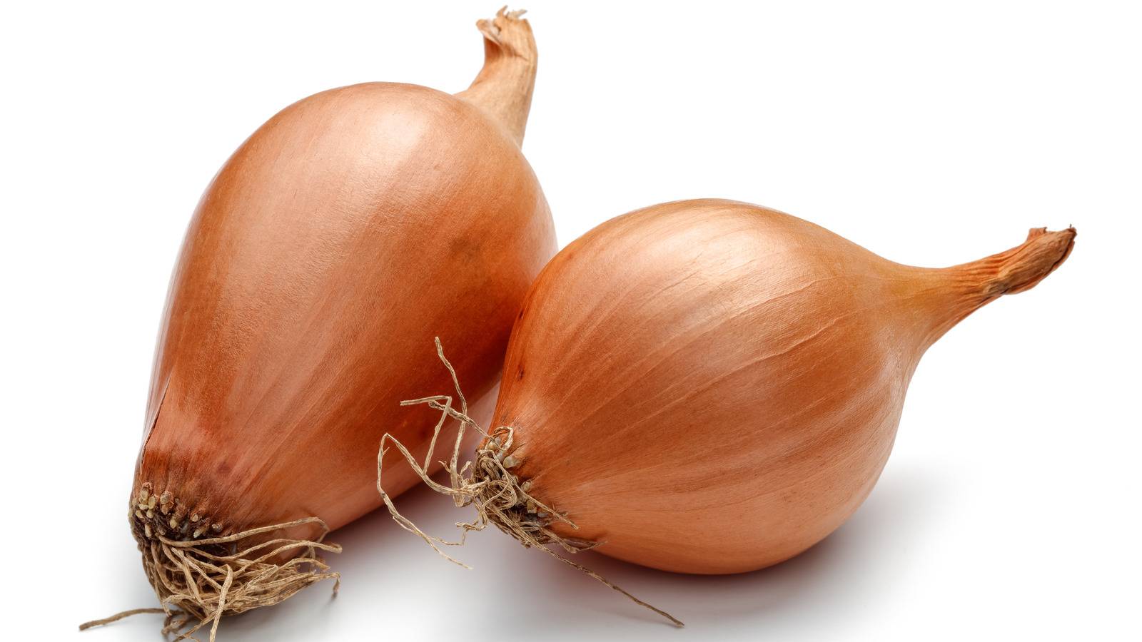 What Are Shallots?